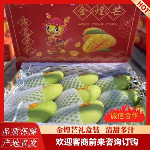 三亚海南三亚崖州金煌芒果 礼盒装 5斤8斤装