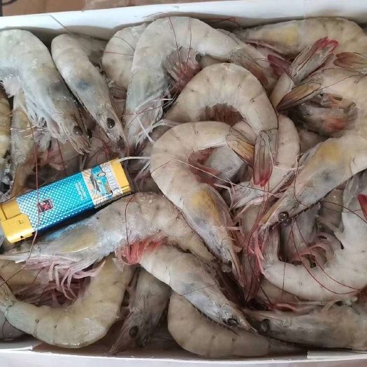 北海整箱生虾食用净重4斤纯虾冷冻盒装大虾白对虾