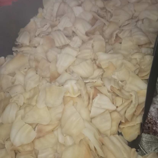 博爱县去毛牛耳