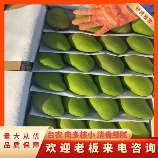 广西百色台农 精品芒果 大台小台芒果 支持线上交易！