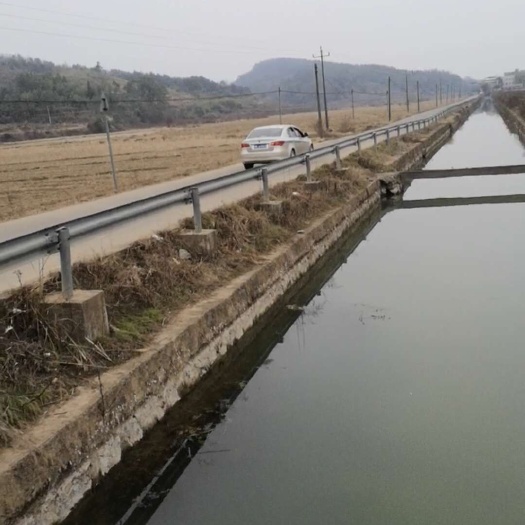 永州600亩水稻田出租