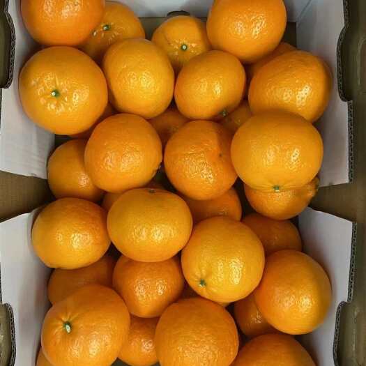 昆明各种规格品质沃柑大量出货