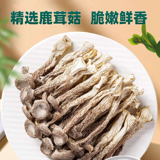 成都鹿茸菇散装批发10斤一件脆脆菇酒店煲汤食用菌厂家直供当季新货