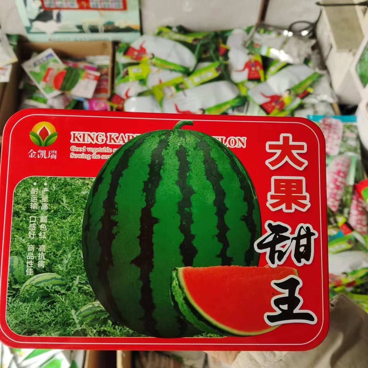 金凯瑞大果甜王西瓜种子中早熟大果西瓜种子