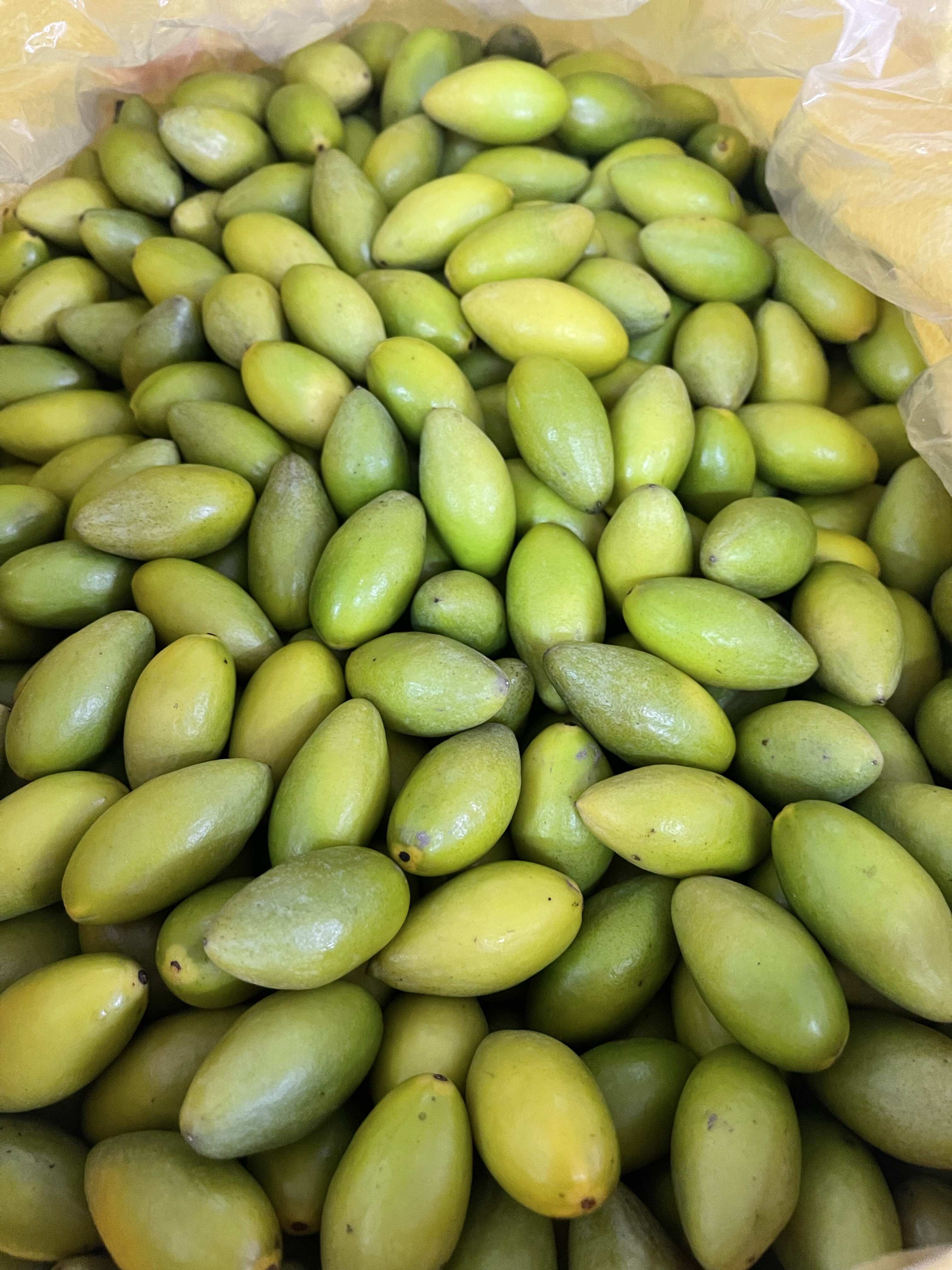 二号橄榄 原味 生吃 煲汤橄榄现摘香橄榄 青橄榄 橄榄果