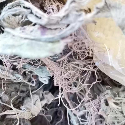 灵山县地胆头干地胆头干