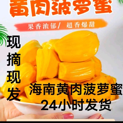 海南万宁黄肉菠萝蜜长年有现货一手货源果肉饱满社区团购批发代发