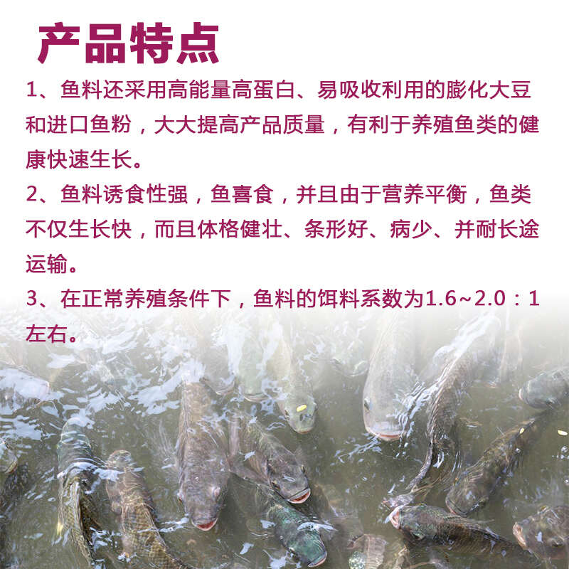 湖南混养鱼配合饲料长肉快体型好耐运输80斤
