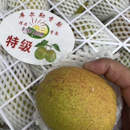 新疆库尔勒香梨