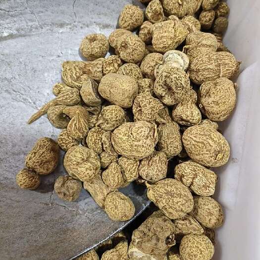 金果榄干货中药材金果榄地苦胆金牛胆 青牛胆金线吊葫芦地胆
