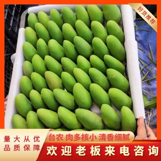 海南小台芒/台农芒果 一二级细皮漂亮货 成熟度够