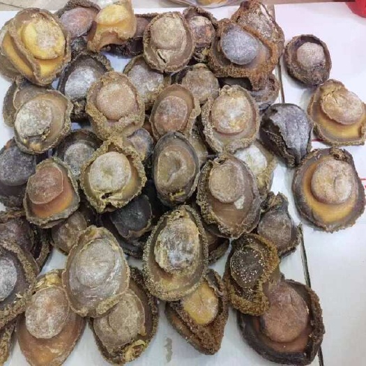 广州6-10头南非鲍鱼