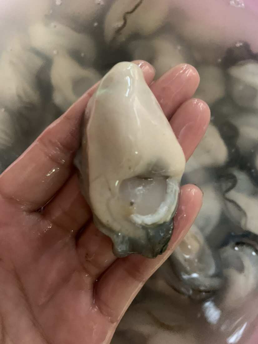 潮汕生蚝肉批发零售