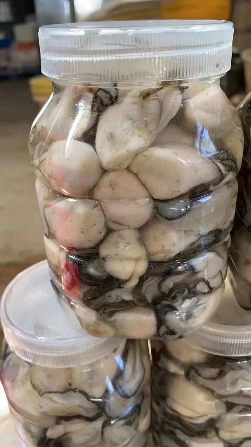 潮汕生蚝肉批发零售