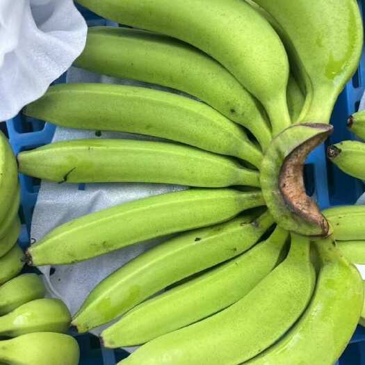 上海精品二级蕉，净重27斤，支持现场看货，保质保量，全国可发