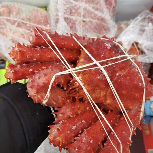 东山县帝王蟹新鲜熟冻海鲜皇帝蟹新鲜蟹、酒店、餐厅供应批发