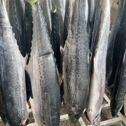【新品】大鲅鱼马鲛鱼超霸大鲅鱼新鲜深海大鱼鲅鱼速冻发鲜活