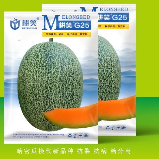 夏邑县耕笑G25哈密瓜种子，椭圆形网纹细密，肉厚松脆爽口，糖度18