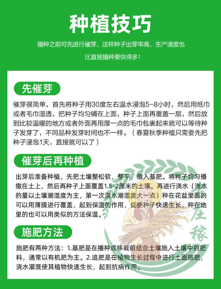 羊角蜜甜瓜种子超甜羊角脆酥薄皮香瓜籽农家四季春季瓜果阳台盆栽