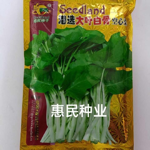 华容县白梗空心菜种子大叶空心菜籽白杆白骨雍菜四季播蔬菜种子500克