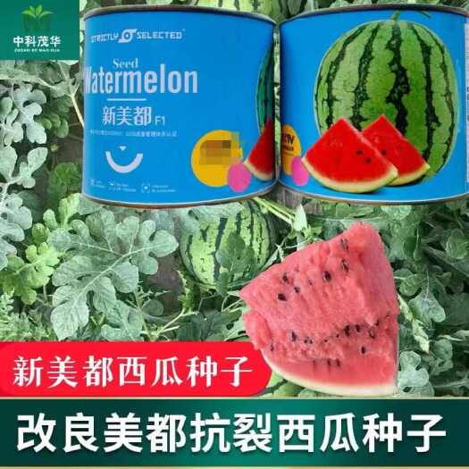 新美都西瓜种子四季中早熟薄皮耐裂圆形高纯甜8424西瓜种