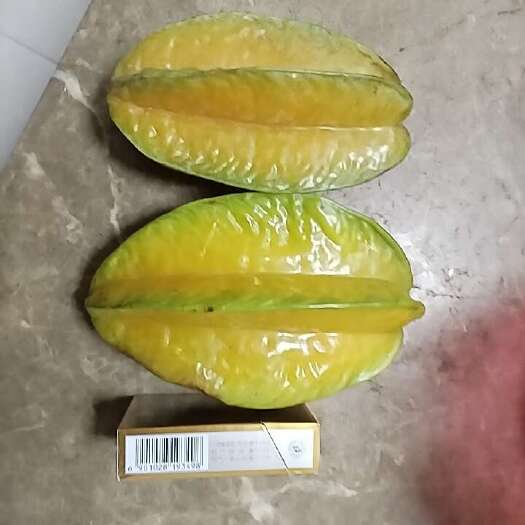 广州杨桃