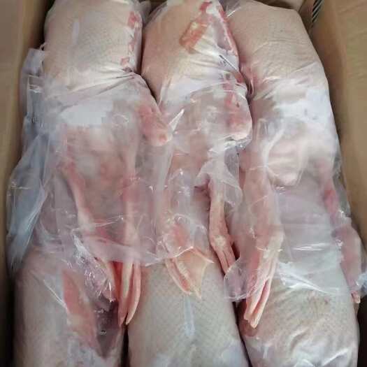 临沂全鸭黄皮鸭大量有货