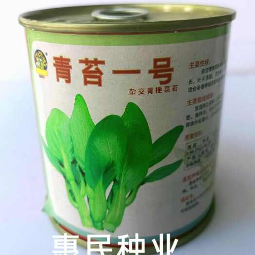 华容县福建金品青苔一号杂交青梗菜苔种子 长势快整齐度好 纤维少脆嫩