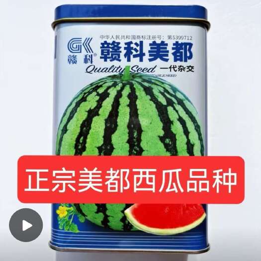 沭阳县赣科大果美都西瓜种子红瓤耐裂超8424早熟大果美都麒麟京圆瓜
