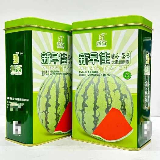 沭阳县善高新早佳8424杂交西瓜种子早熟抗病大果麒麟瓜