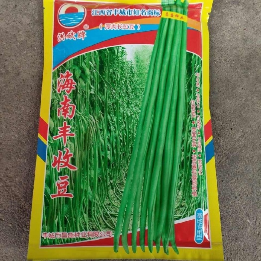 华容县洪斌牌海南丰收厚肉长豆角种子早中熟荚长顺直翠绿油亮采收期长