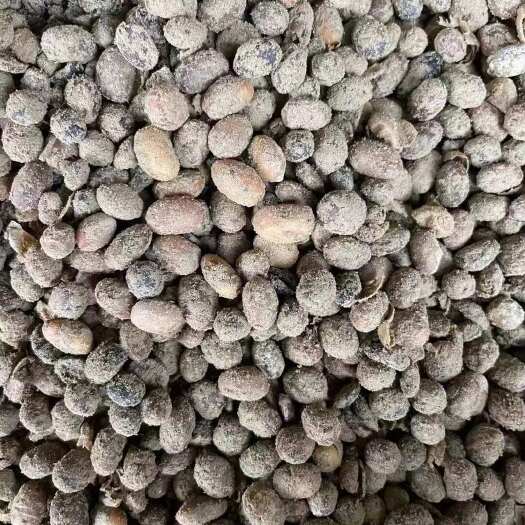 五莲县发酵大豆有机菌肥