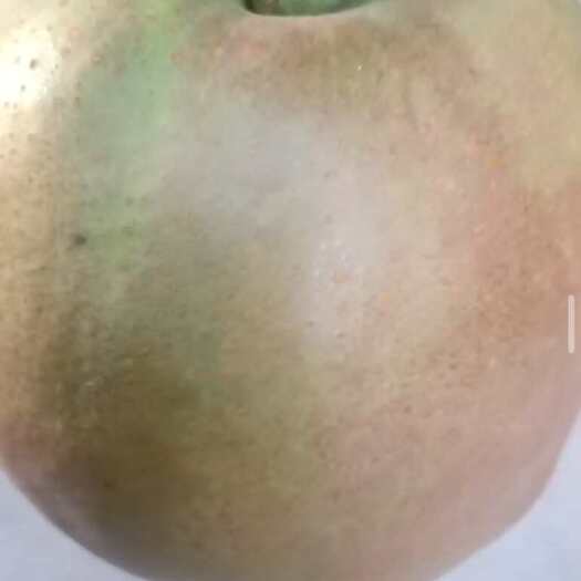 赵县精品玉露香价格便宜质量好！