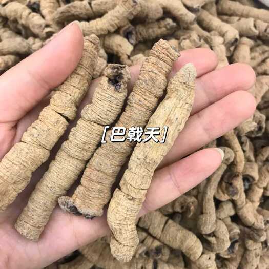 宜春【包邮】中药材 巴戟天巴戟 巴戟天 巴戟肉 鸡肠风抽芯巴戟天