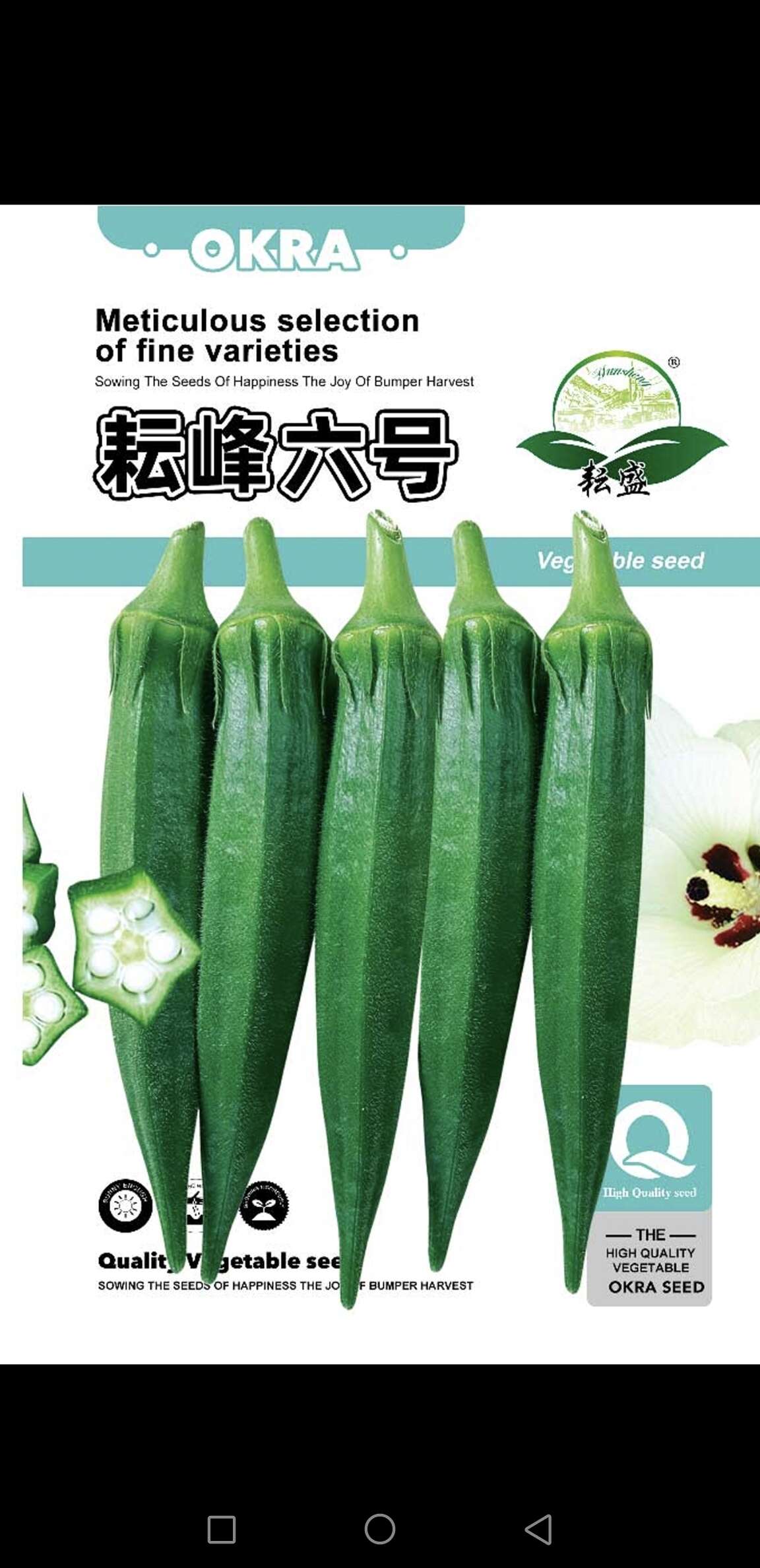 耘峰六号纯杂交水果秋葵