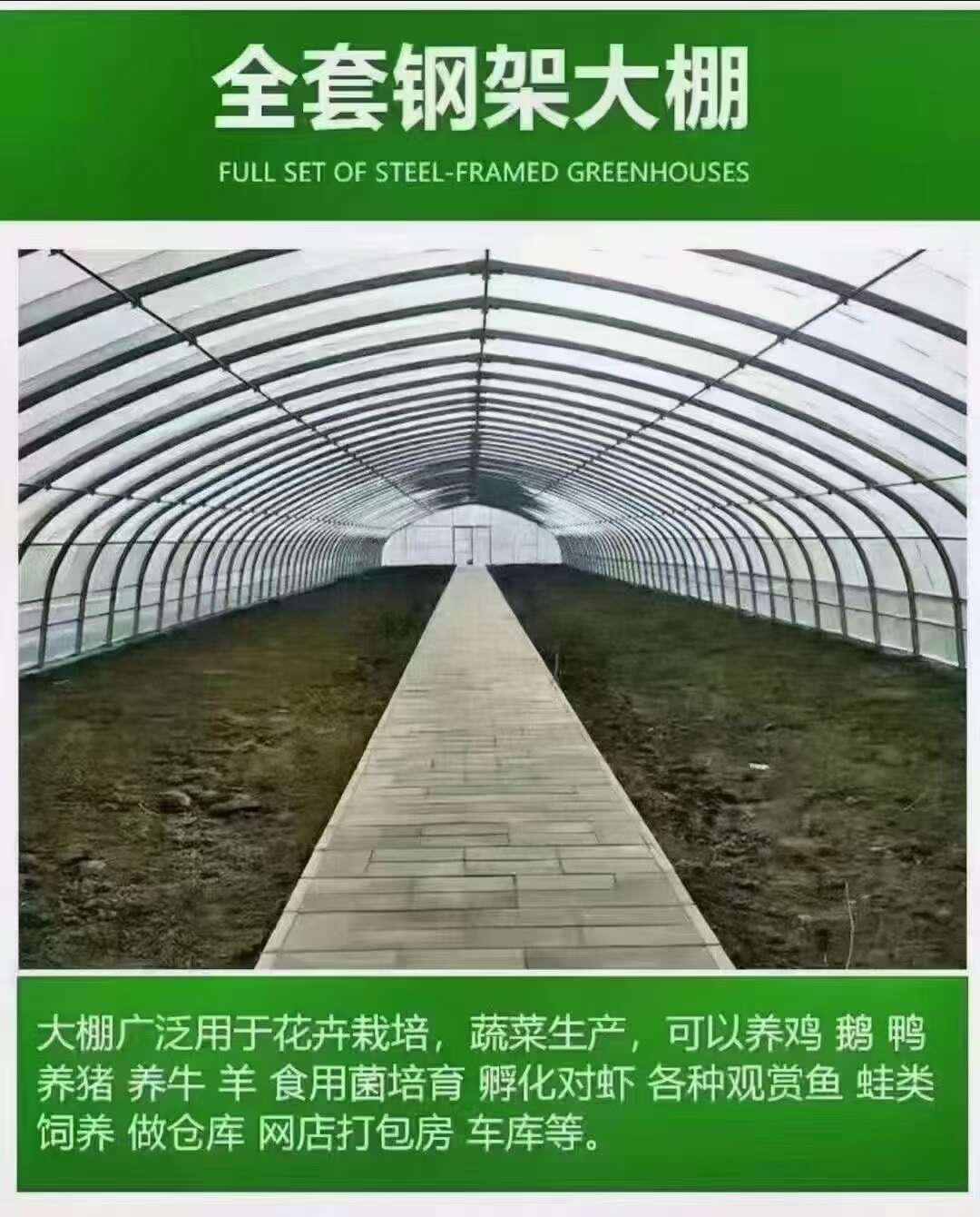 大棚管厂家，定尺定做建各种蔬菜大棚，养殖大棚联动大棚欢迎咨询