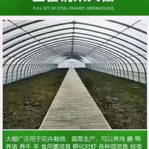 天津大棚管厂家，定尺定做建各种蔬菜大棚，养殖大棚联动大棚欢迎咨询