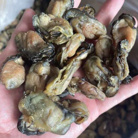 海蛎干 牡蛎 海蛎肉 质量好品质优