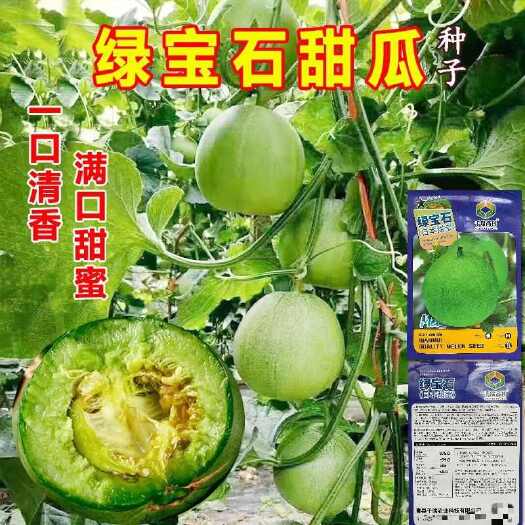 邵东市日本甜宝甜瓜种子绿宝石超甜正品薄皮甜瓜种籽四季蔬菜水果种孑