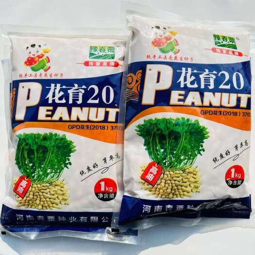 花育20花生种子早熟纯手工去壳花生种子花育42号脱壳花生种子