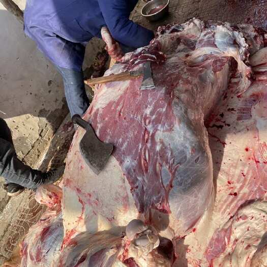 清丰县纯干鲜牛肉