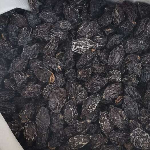 普宁市智利西梅干，自主整柜出货