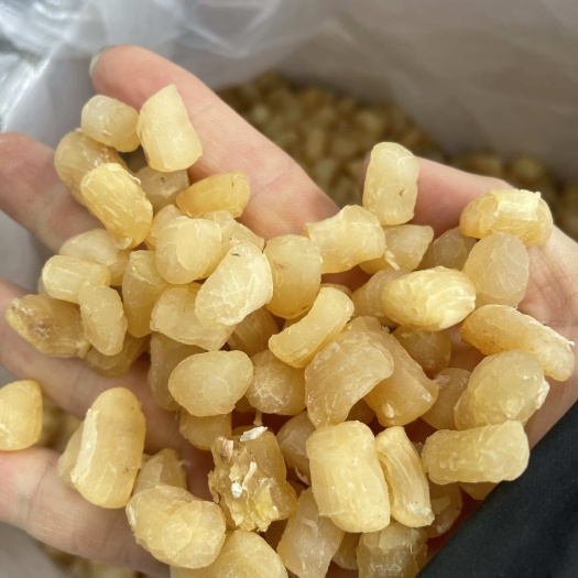 干贝 扇贝 规格齐全 品质保证