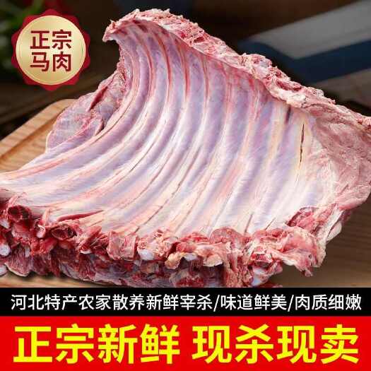 新鲜马肉农家散养现杀生马腿肉肋骨马肉鲜马肉