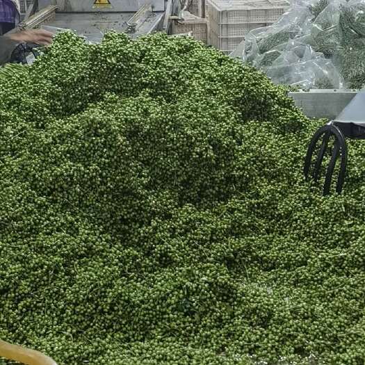 巫溪保鲜青花椒、干青花椒