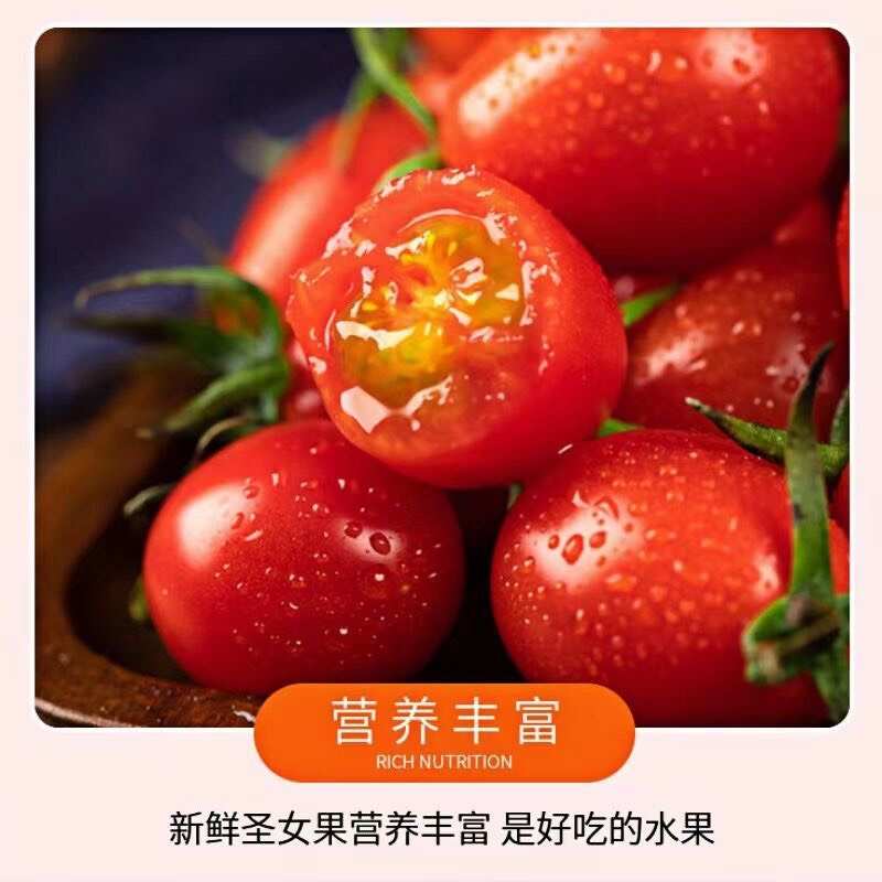 正中圣女果小番茄5斤小西红柿新鲜生吃应季水果批发非千禧果2斤