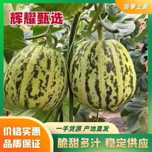莘县花美人
