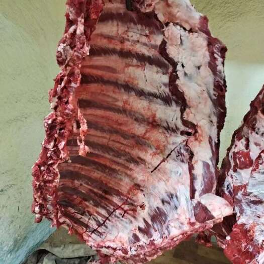 阳信县鲜牛排，国产满肉牛排，现宰现发，保证新鲜，纯干货