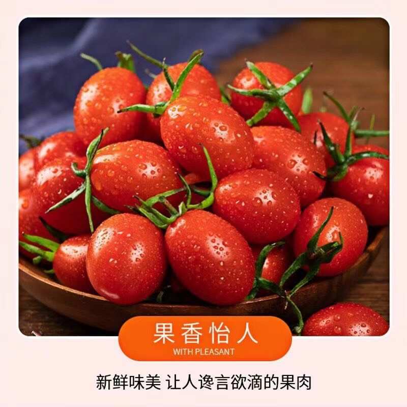 正中圣女果小番茄5斤小西红柿新鲜生吃应季水果批发非千禧果2斤