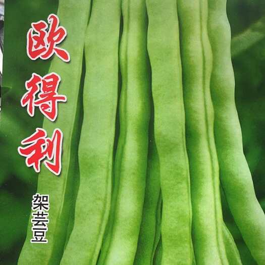 绿条架豆，圆扁条，条长28-34厘米